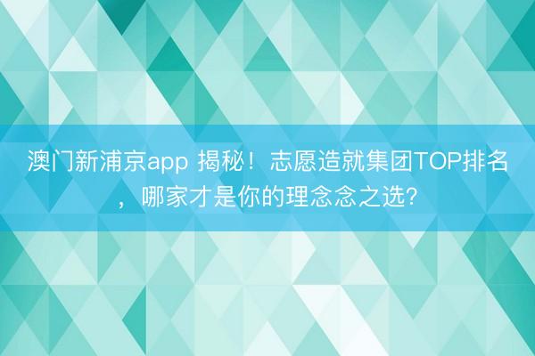 澳门新浦京app 揭秘！志愿造就集团TOP排名，哪家才是你的理念念之选？
