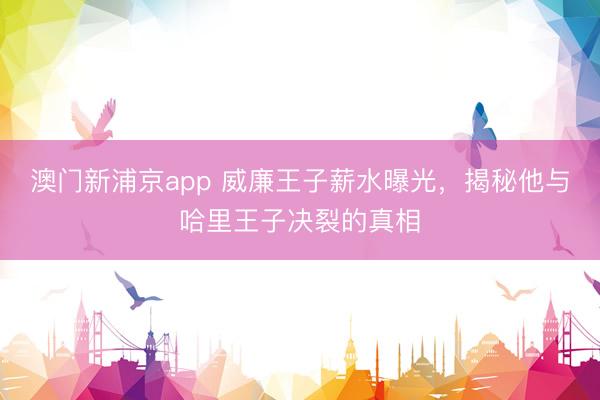 澳门新浦京app 威廉王子薪水曝光,揭秘他与哈里王子决裂的真相