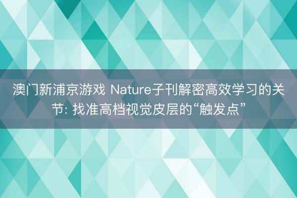 澳门新浦京游戏 Nature子刊解密高效学习的关节: 找准高档视觉皮层的“触发点”