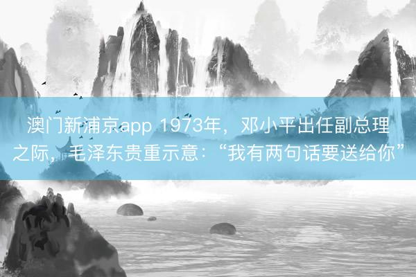 澳门新浦京app 1973年，邓小平出任副总理之际，毛泽东贵重示意：“我有两句话要送给你”