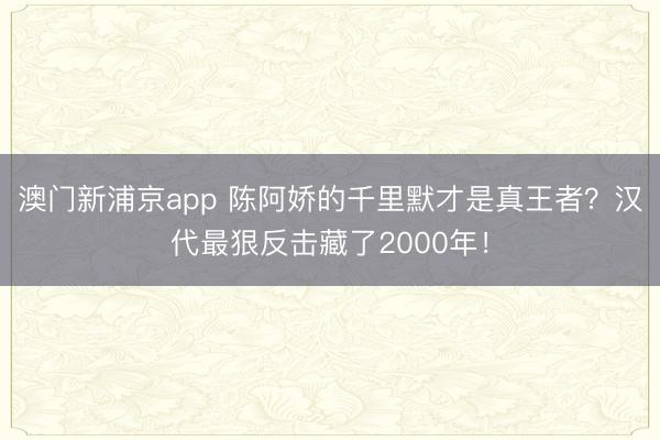 澳门新浦京app 陈阿娇的千里默才是真王者?汉代最狠反击藏了2000年!