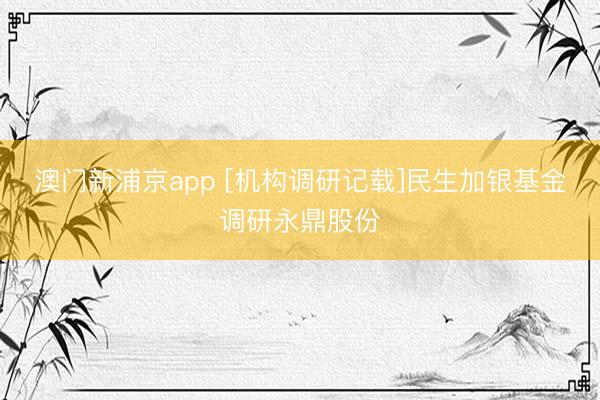 澳门新浦京app [机构调研记载]民生加银基金调研永鼎股份