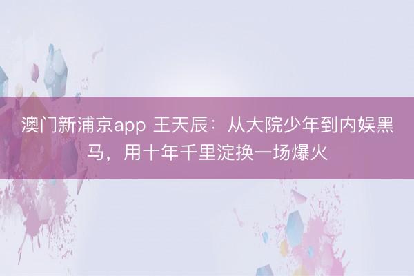 澳门新浦京app 王天辰：从大院少年到内娱黑马，用十年千里淀换一场爆火