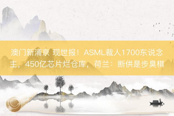 澳门新浦京 现世报!ASML裁人1700东说念主,450亿芯片烂仓库,荷兰:断供是步臭棋